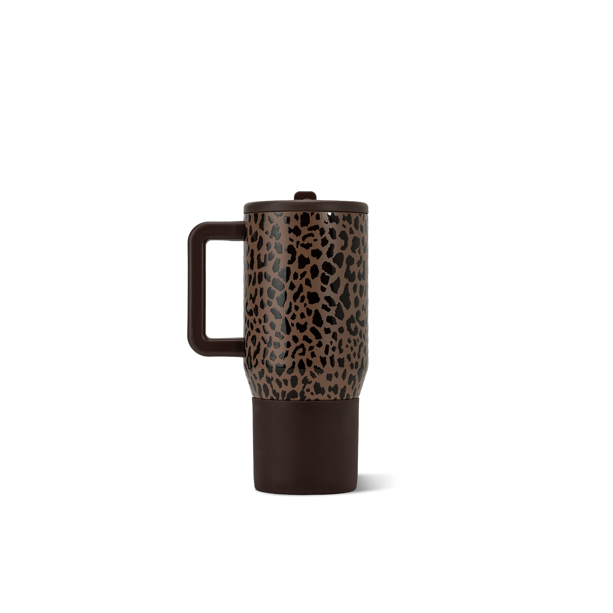 Brown Leopard - FSJT
